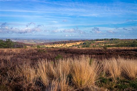 ashdown forest viewpoint north downs - UK Landscape Photography