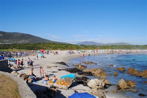 Top 10 Things to do in Hermanus in 2023 | Hermanus Tourism