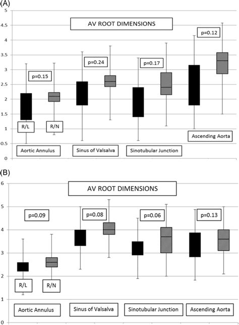 Aortic root dimensions: preoperative (A) and at follow‐up (B ...