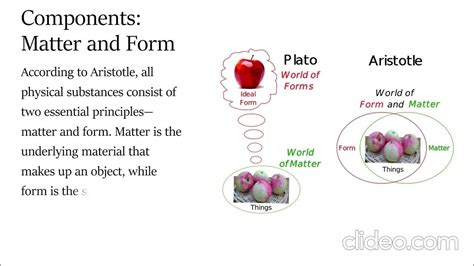 Aristotle's Hylomorphism (Narration) - YouTube