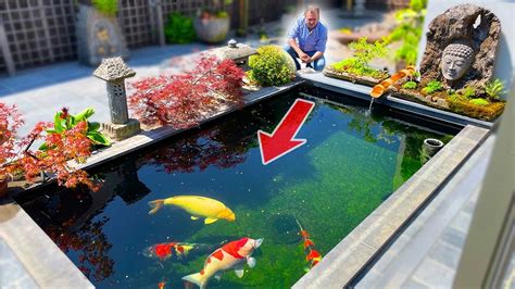 Small Koi Pond, BIG Fish!! (DIY Build) - YouTube