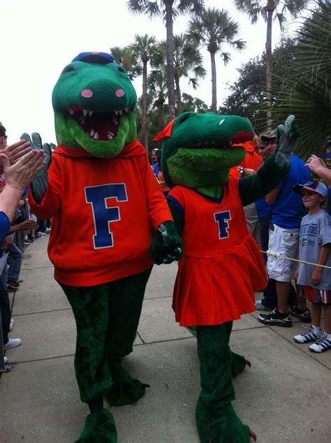 Albert and Alberta!!! | Gator nation, Gainesville florida, Florida gators