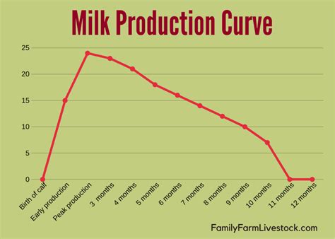 A Family Cow: How Much Will She Milk? – Family Farm Livestock