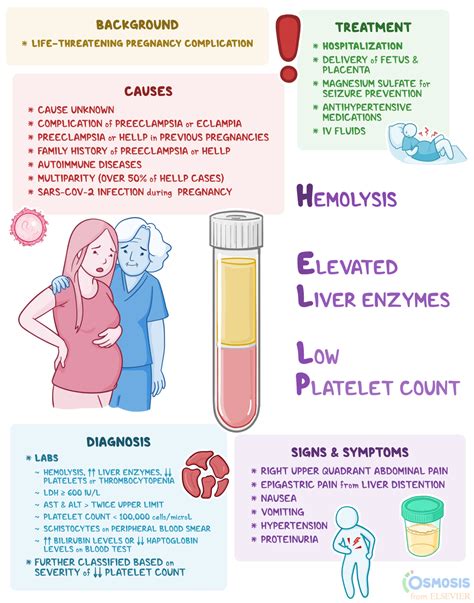 HELLP Syndrome: What Is It, Causes, Diagnosis, Treatment, and More ...