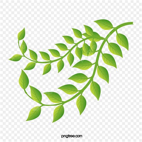 Fresh Greens Clipart Transparent PNG Hd, Fashion Fresh Green Leaves ...