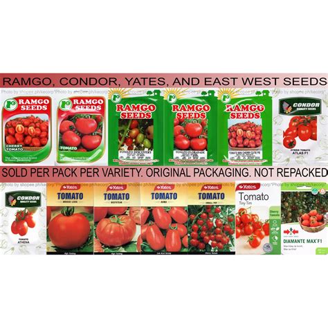 Ramgo Condor Yates East West Tomato Seeds - Sold per Pack per Variety ...