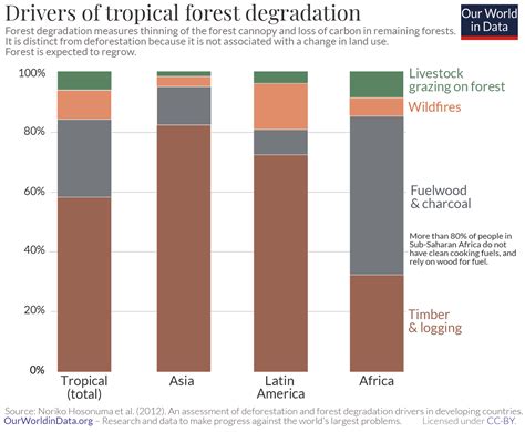 Deforestation Model