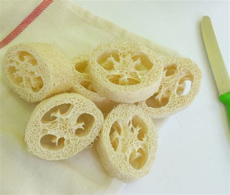 Loofah Sponge Soap Tutorial–DIY Gift Idea - EverythingEtsy.com