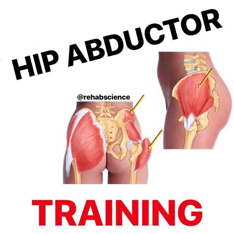 💥𝐇𝐢𝐩 𝐀𝐛𝐝𝐮𝐜𝐭𝐨𝐫𝐬💥 ---------- 👣The hip abductor muscles are located on the ...