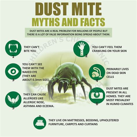 Do Carpets Have Dust Mites | www.cintronbeveragegroup.com