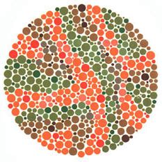 Ishihara’s Test for Colour Deficiency: 38 Plates Edition – Colblindor