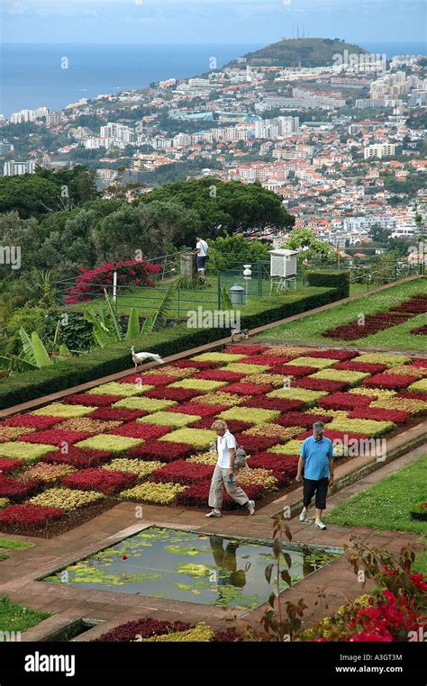 Funchal, Botanical Garden Stock Photo - Alamy