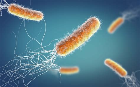 How does Pseudomonas aeruginosa Affect the Pharma Industry ...