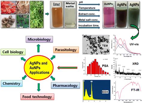 Eco-friendly approach for nanoparticles synthesis and mechanism behind ...