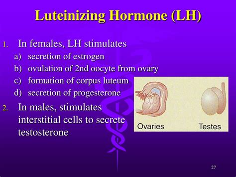 PPT - General Functions of Hormones Figure 11.2 page 278 PowerPoint ...