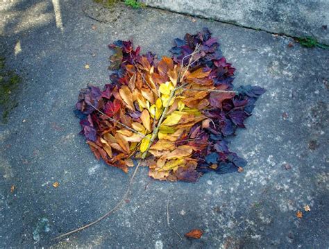 Andy Goldsworthy’s Land Art Photography - IGNANT