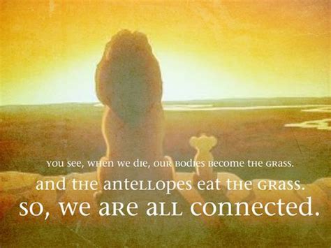 Circle Of Life Quotes. QuotesGram