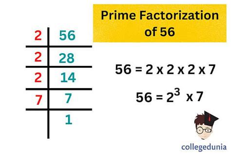 Factors of 56: Prime Factorization, Pair Factors & Prime Factors