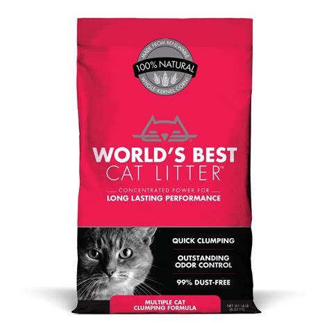 # Top 10 Best Dust Free Cat Litter Brand -Reviews in 2017