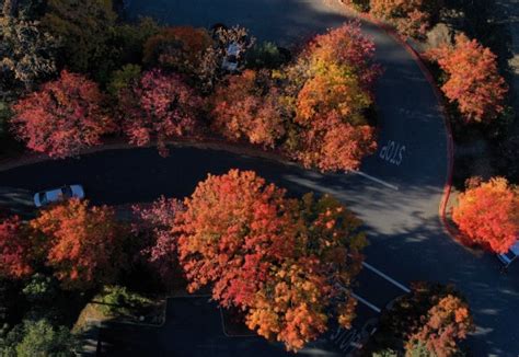 Photos: Fall in full swing as nature morphs color across Bay Area