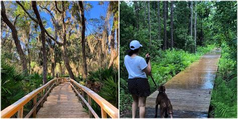 Timucuan Ecological and Historic Preserve is a coastal wetland with ...