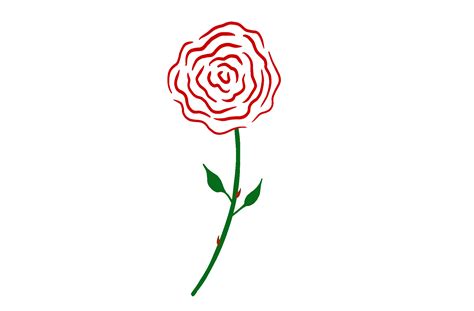 How To Draw A Simple Rose Flowers | Best Flower Site