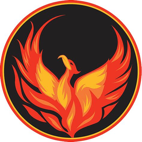 Phoenix Logo Legendary creature - Phoenix png download - 612*612 - Free ...