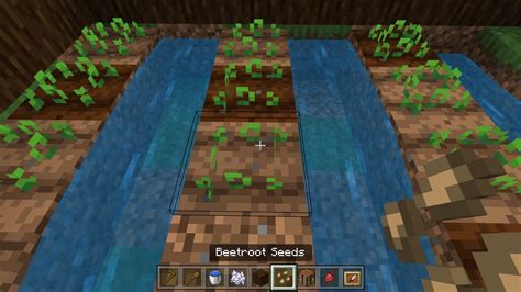 How to Plant Seeds in Minecraft