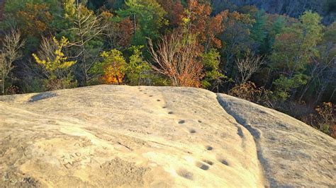 "Indian Staircase" The Red River Gorge, Powell County, KY, USA [3072 x ...