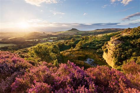 the sun shines brightly over some hills and flowers