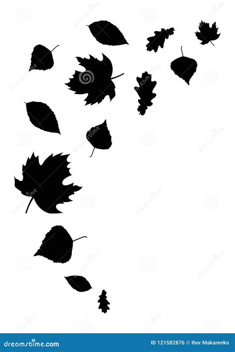 Black Autumn Leaves, Isolated on a White Stock Vector - Illustration of ...