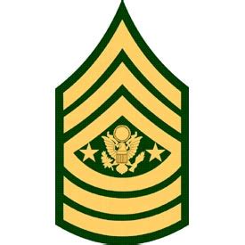 Army E9 Command Sergeant Major Rank Patch | North Bay Listings