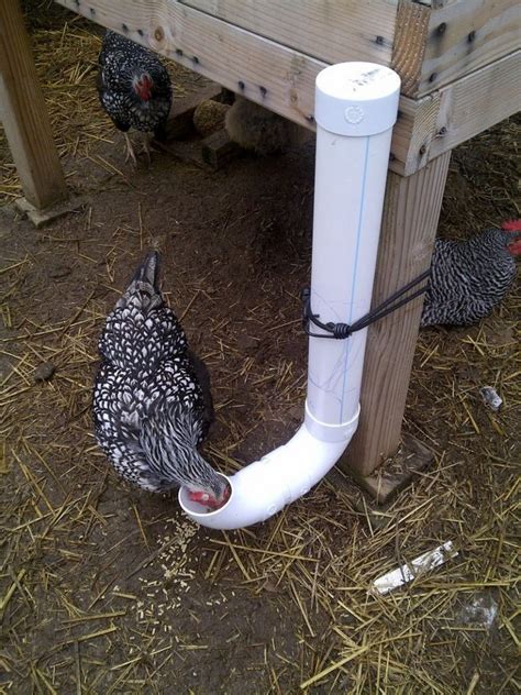 How to build an inexpensive chicken feeder from PVC | The Owner-Builder ...