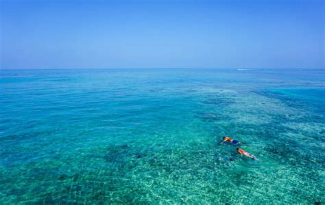 6 Best Snorkeling Spots in Puerto Rico | Best snorkeling, Snorkeling ...