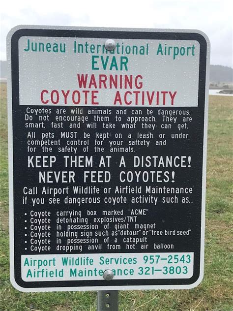 Juneau airport trail. Watch for anvils. : alaska