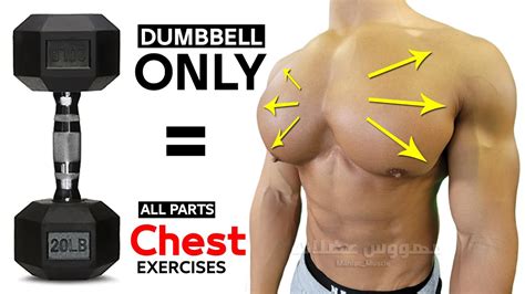 7 BEST CHEST EXERCISES WITH DUMBELLS ONLY 🎯 - YouTube