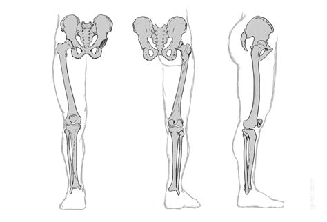 How to Draw Legs, the Easy Step-by-Step Guide with Simplified Anatomy ...