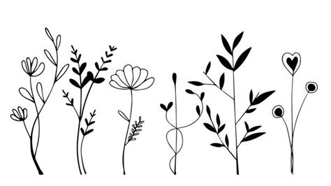 Flower Stem Clipart Black And White | Best Flower Site