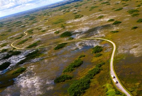 The Everglades: A Visual Tour Through Shark Valley