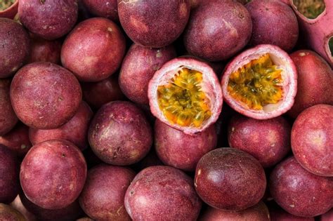 8 Passion Fruit Varieties (The Common Varieties of Passion Fruit ...