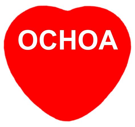 I Love Ochoa Magnet. Fun Heart Shaped Magnet for Ochoa Family Members ...