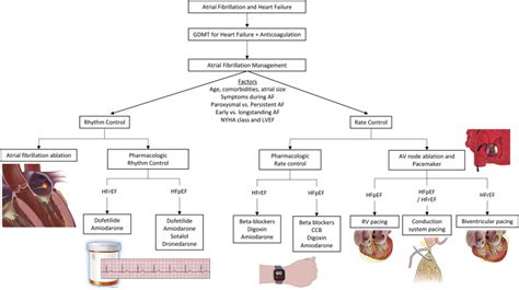 Atrial fibrillation and heart failure: A contemporary review of current ...