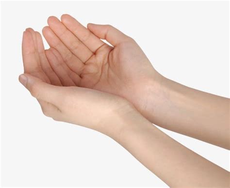 Hands Holding Something PNG, Clipart, Beautiful, Beautiful Hands, Close ...