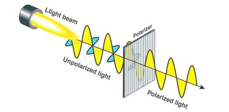 Application of Polarized light - Optography