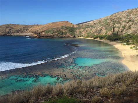 hanauma_bay_coral_reef - Honolulu Civil Beat