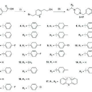 SCHEME 1 Reagents and conditions: (i) BH 3 .S(CH 3 ) 2 , THF, 0 ° C for ...