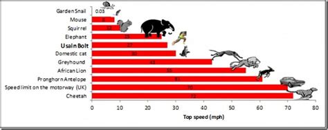 How fast is Usain Bolt, really?