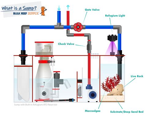 Diagram Of A Modern Reef Aquarium With Sump And Refuge Reef, 48% OFF