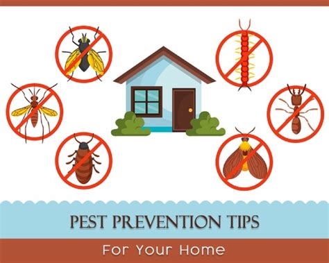 In Order to Clean Effectively and Prevent Pest Infestation