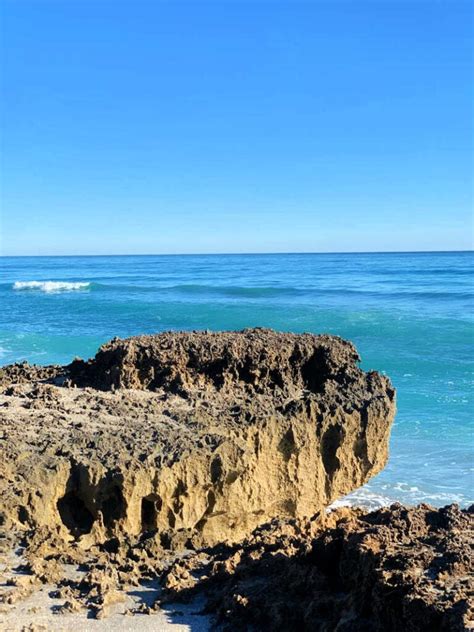 Blowing Rocks Preserve: Visitor's Guide to a Unique Florida Beach ...